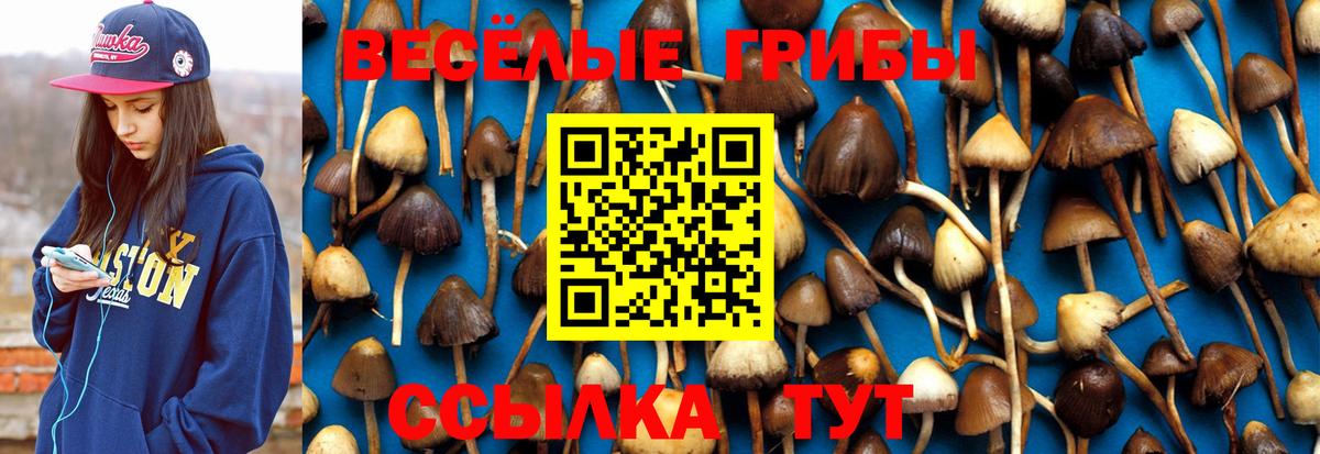 Псилоцибиновые грибы мухоморы  Галлюциногенные грибы ЛСД  продажа наркотиков  Вход с VPN  Усть-Джегута 