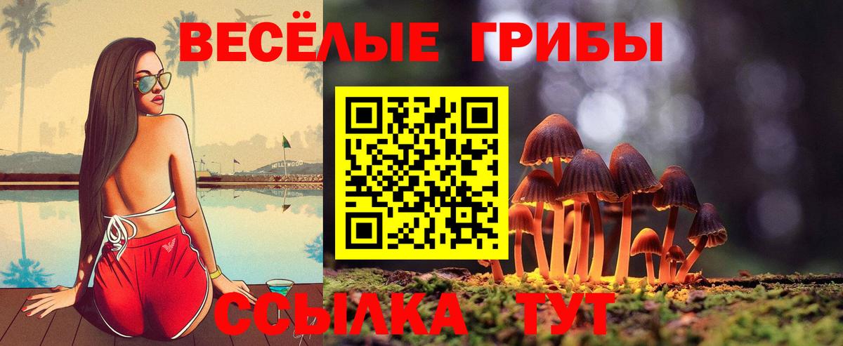 Псилоцибиновые грибы ЛСД Усть-Джегута